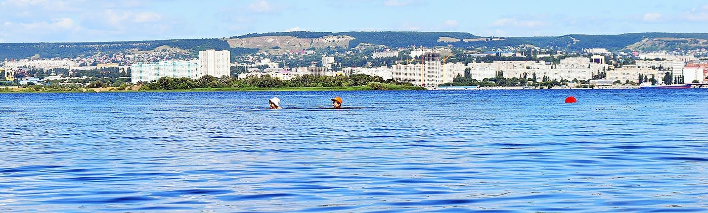 Лес и прогулки