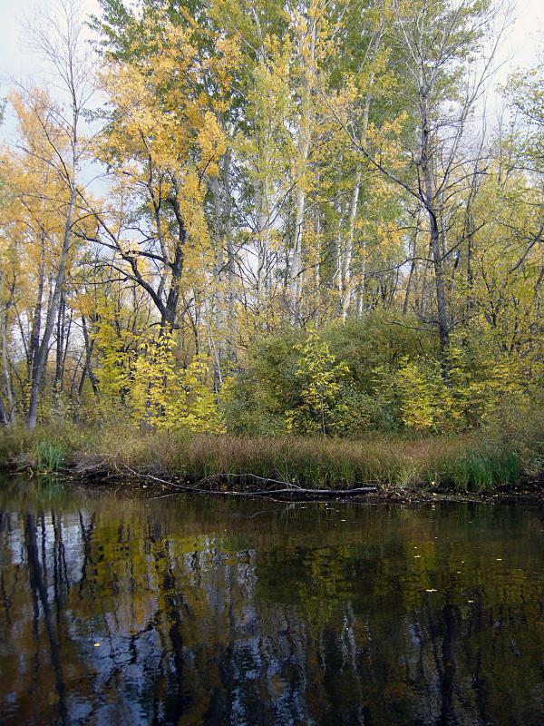 Пейзажи «Иволги» — фотография 43